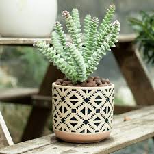 Ceramic Decorative Planter Floor Pot