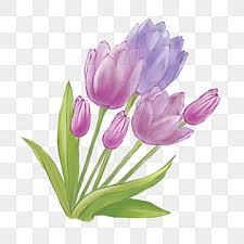 Watercolor Flowers Icon Png Images