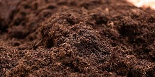 The Best Tips To Prepare Garden Soil