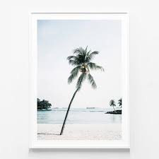 Paradise Palm Tree Framed Print Or
