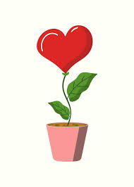 Flower In A Pot Potted Plant Heart