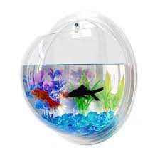 Wall Hanging Aquarium Fish Tank At Rs
