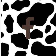 Cow Print App Icon Iphone Wallpaper