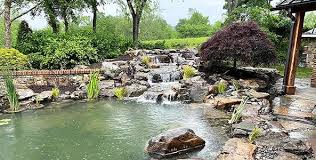 Expert Pond Contractor In Charlotte