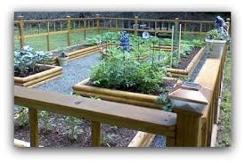 Backyard Vegetable Garden Layout