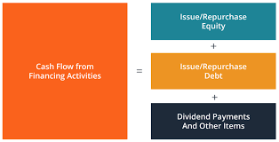 Cash Flow From Financing Activities