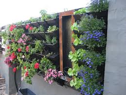 Install Vertical Gardening System