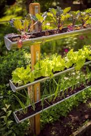 20 Best Vegetable Garden Layout Ideas