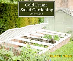 Cold Frame Salad Gardening Black Gold