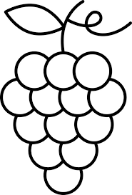 Grape Outline Icon Fruit Vector