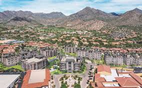 10 Million Silverleaf To Be