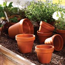 Everyday Terracotta Standard Pot 11