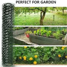 Garden En Bird The Wire Fence