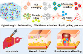 Bioactive Hydrogels With A Wet Adhesion