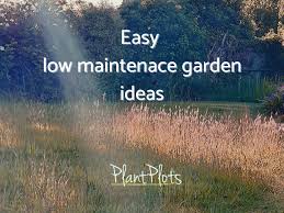 Low Maintenance Garden Design