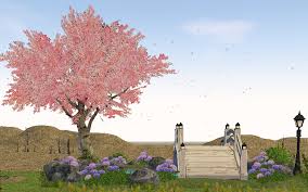 Homestead Cherry Blossom Tree And Pond
