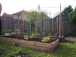 The Benefits Of Raised Garden Beds