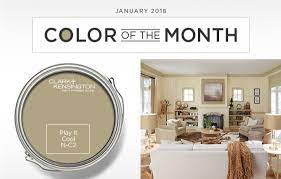 Color Of The Month 0118 Ace Hardware