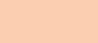 Hex Color Fbceb1 Color Name Apricot