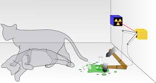 Schrödinger S Cat Wikipedia
