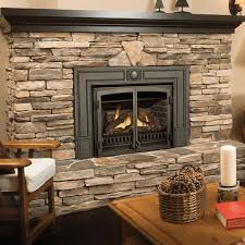 Gas Fireplace Insert