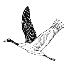 White Heron Png Svg Design For T Shirts