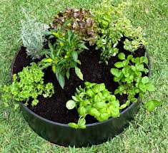 Veggie Bed Circle Black Grey Mist