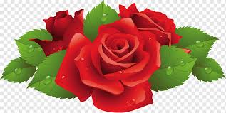 Fl Flower Rose Icon Design Red
