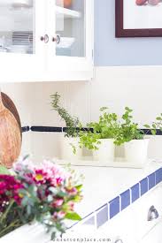Indoor Herb Gardening In The Kitchen