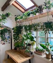 Hanging Plants Indoor Plant Decor