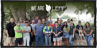 South Austin Team Leaf Landscape Supply