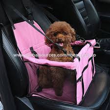Car Booster Seat Carrier