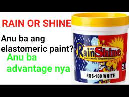 Rain Or Shine Elastomeric Paint Color