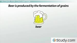 Yeast Fermentation Overview Types