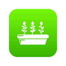 Outdoor Potted Plants Icon Green Vector