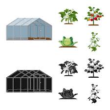 Vector Ilration Of Greenhouse And