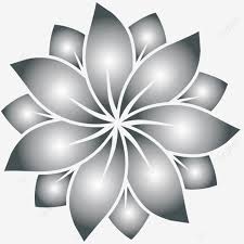 Image Of Silver White Jasmine Flower
