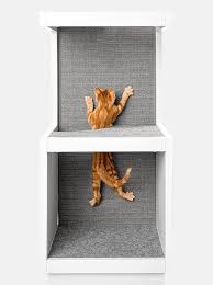 Modern Cat Tree Furniture Cat Tower