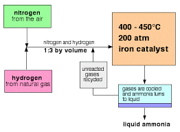 Haber Process By The Action Of Hydrogen
