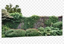 Garden Png Transpa Image