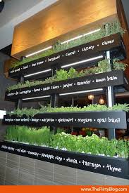 Interior Design With Salad Gardens
