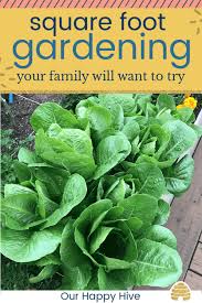 Square Foot Gardening Your Family Will
