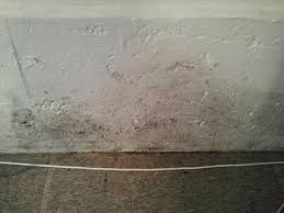 Foundation Wall Also Mold Issue