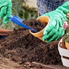 Best Soil For Your Container Garden