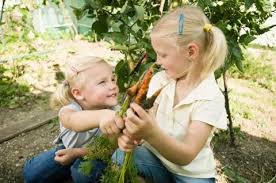 Vegetable Garden Stock Photos Royalty