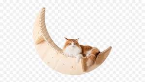 Mounted Cat Shelf Floating Cat Bed Luna