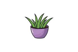 Plant Potted Icon Graphic By