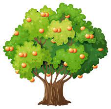 Fruit Tree Images Free On