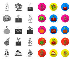 Plant Vegetable Cartoon Icons In Set