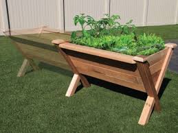 Raised Garden Beds Curated Collection